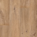 [F102] Floorify Rigid Vinyl XL Planks Click - Teddy Bear